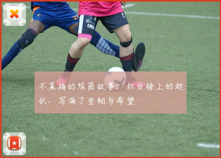 不莱梅的绿茵故事:积分榜上的起伏,写满了坚韧与希望