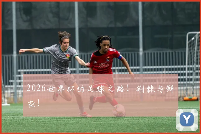 2026世界杯的足球之路!荆棘与鲜花!