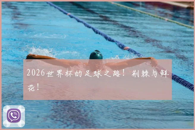 2026世界杯的足球之路!荆棘与鲜花!