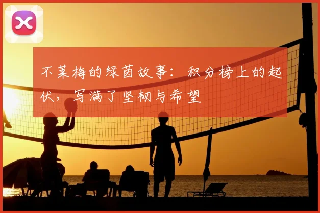不莱梅的绿茵故事:积分榜上的起伏,写满了坚韧与希望